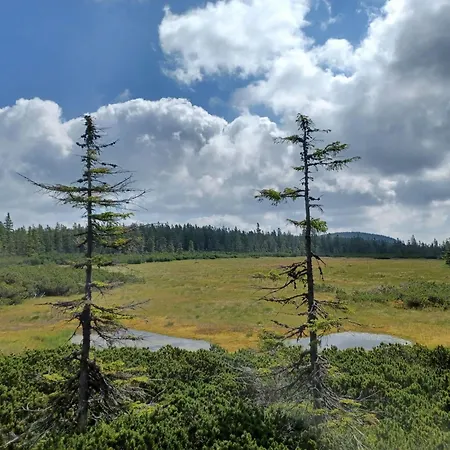 Сasa de vacaciones Hill 59 By Interhome *